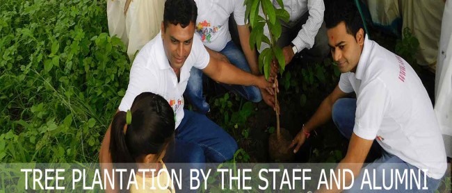 TreePlantation